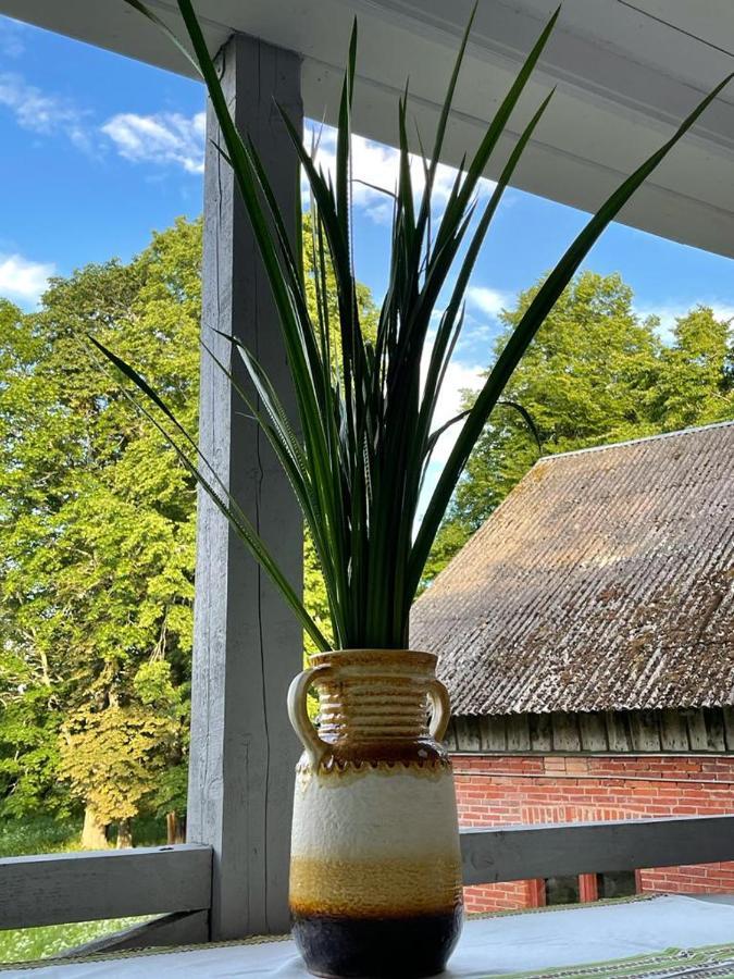 Strautmali White House In Mazirbe Villa Bagian luar foto